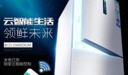 新飞最新爆料,揭秘科技巨头新动向