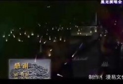 黑龙爆料辛卫林视频在线观看,辛卫林视频在线观看背后的惊人真相