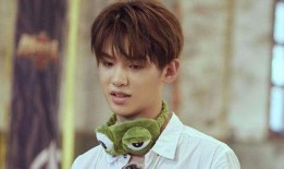 娱乐爆料黄明昊是真的吗,娱乐爆料背后的真相