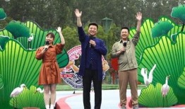 泰安大桥爆料视频最新消息,工程进展与挑战全解析